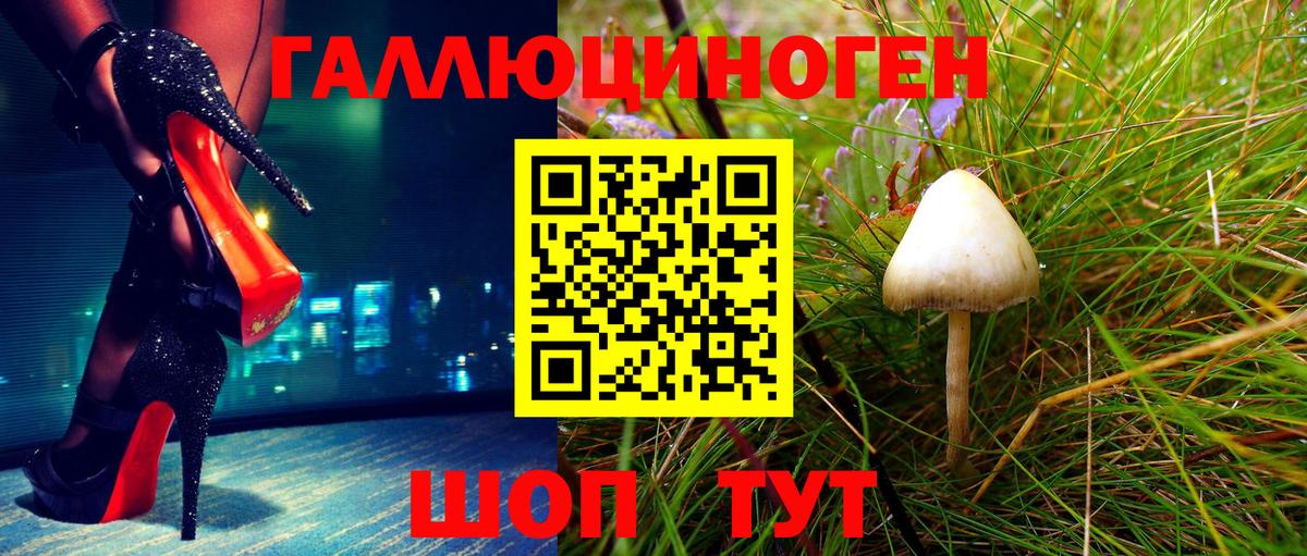 Галлюциногенные грибы Psilocybine cubensis Камышин